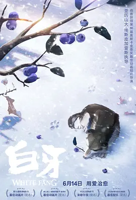 午夜看片福利视频在线观看